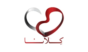 شريك نجاح